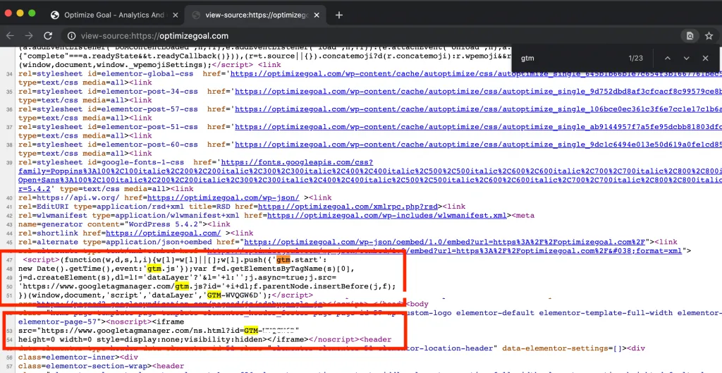 gtm script in source code